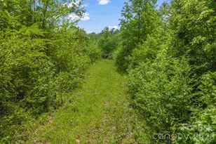 288 Maypole Ct, Forest City, NC 28043 - Photo 44