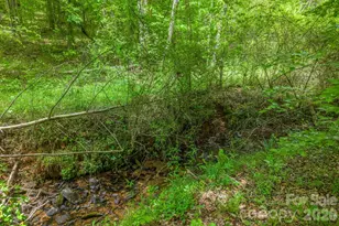 288 Maypole Ct, Forest City, NC 28043 - Photo 42