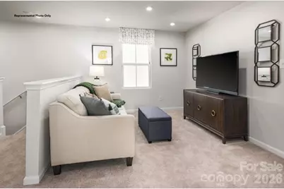 403 Laney Farms Drive, Pageland, SC 29728 - Photo 10