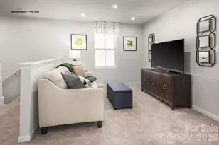 403 Laney Farms Dr, Pageland, SC 29728 - Photo 10