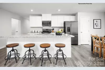 403 Laney Farms Drive, Pageland, SC 29728 - Photo 4