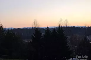 4 Carter Hill Dr, Leicester, NC 28748 - Photo 42