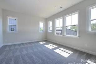 317 Old Town Vlg Rd, Waxhaw, NC 28173 - Photo 12