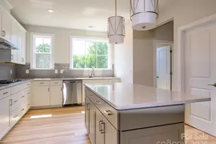 317 Old Town Vlg Rd, Waxhaw, NC 28173 - Photo 1