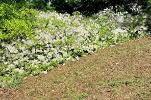 5987 Charlotte Hwy, Lancaster, SC 29720 - Photo 20