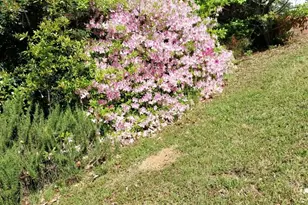 5987 Charlotte Hwy, Lancaster, SC 29720 - Photo 22