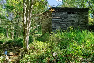 1099 Silas Branch Rd, Burnsville, NC 28714 - Photo 8