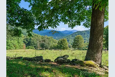 1099 Silas Branch Road, Burnsville, NC 28714 - Photo 4