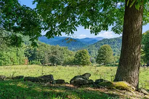 1099 Silas Branch Rd, Burnsville, NC 28714 - Photo 4