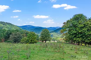 1099 Silas Branch Rd, Burnsville, NC 28714 - Photo 22