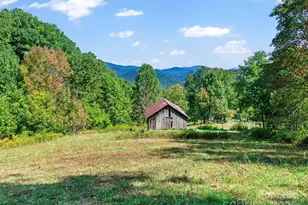 1099 Silas Branch Rd, Burnsville, NC 28714 - Photo 18