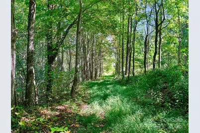 1099 Silas Branch Road, Burnsville, NC 28714 - Photo 16