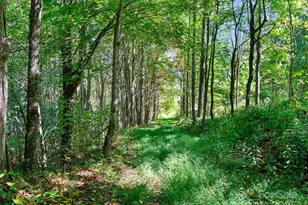 1099 Silas Branch Rd, Burnsville, NC 28714 - Photo 16