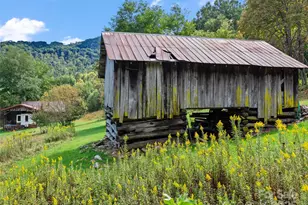 1099 Silas Branch Rd, Burnsville, NC 28714 - Photo 10