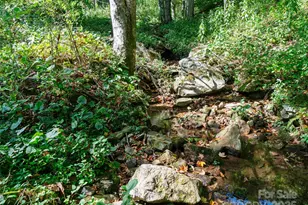 1099 Silas Branch Rd, Burnsville, NC 28714 - Photo 6