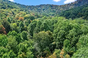 1099 Silas Branch Rd, Burnsville, NC 28714 - Photo 30