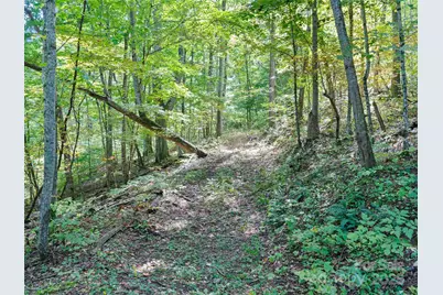 1099 Silas Branch Road, Burnsville, NC 28714 - Photo 20