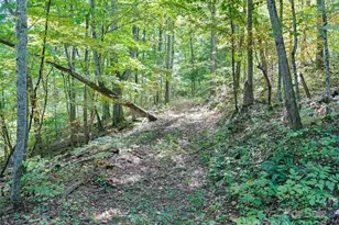 1099 Silas Branch Rd, Burnsville, NC 28714 - Photo 20