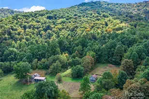 1099 Silas Branch Rd, Burnsville, NC 28714 - Photo 28