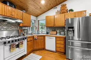 645 W Fork Creek Rd, Saluda, NC 28773 - Photo 8