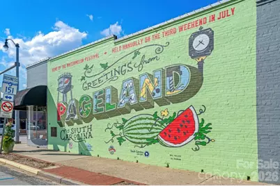 303 Laney Farms Drive, Pageland, SC 29728 - Photo 10