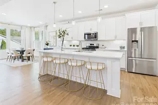 1708 Coral Bark Ln, Charlotte, NC 28216 - Photo 4