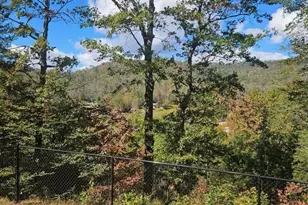 493 Spring Hill Rd, Bakersville, NC 28705 - Photo 6