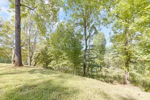 63 Blue Heron Trl, Brevard, NC 28712 - Photo 42