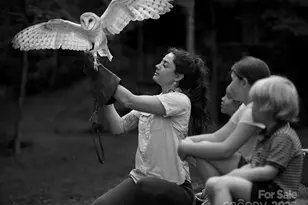 143 Lodestone Dr, Sylva, NC 28779 - Photo 26