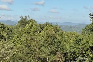 1077 Melrose Mountain Rd, Tryon, NC 28782 - Photo 4