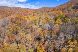 146 Promiseland Rd, Canton, NC 28716 - Photo 6