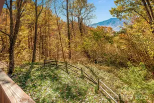 146 Promiseland Rd, Canton, NC 28716 - Photo 30