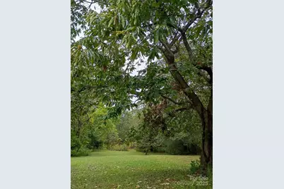 290 Wallace Road, Ellenboro, NC 28040 - Photo 2