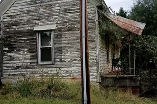 290 Wallace Rd, Ellenboro, NC 28040 - Photo 8