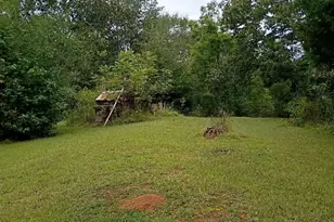 290 Wallace Rd, Ellenboro, NC 28040 - Photo 4