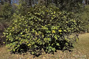 1080 Gin Rd, Gold Hill, NC 28071 - Photo 30