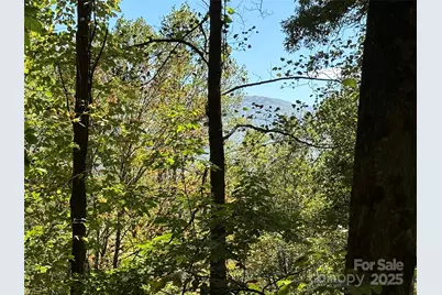 Tbd Happy Ridge Lane, Sylva, NC 28779 - Photo 10