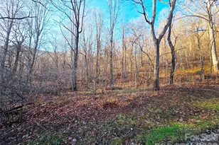 123 Live Oak Loop, Waynesville, NC 28785 - Photo 1