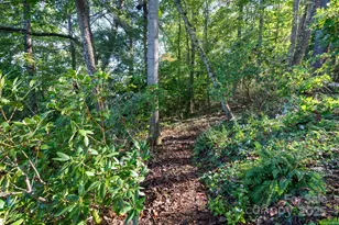 9 Sandon Cir, Asheville, NC 28804 - Photo 38