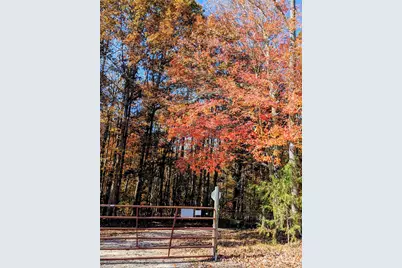 1845 Templeton Road, Clover, SC 29710 - Photo 10