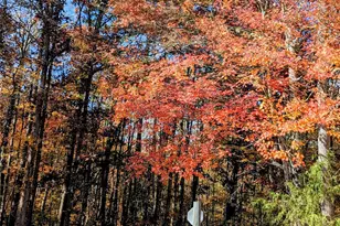 1845 Templeton Rd, Clover, SC 29710 - Photo 10