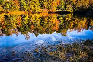 1845 Templeton Rd, Clover, SC 29710 - Photo 2