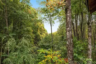 1664 Tawodi Trail, Maggie Valley, NC 28751 - Photo 32