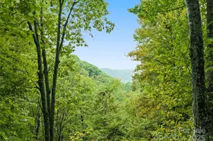 1664 Tawodi Trail, Maggie Valley, NC 28751 - Photo 4