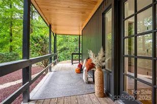 160 Lasae Ln, Tryon, NC 28782 - Photo 40