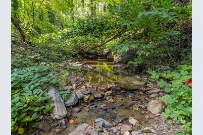 160 Lasae Lane, Tryon, NC 28782 - Photo 42