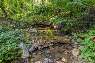 160 Lasae Ln, Tryon, NC 28782 - Photo 42