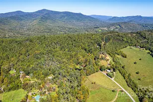 202 Duke Franklin Rd, Spruce Pine, NC 28777 - Photo 30