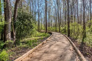 508 Miller St, Lancaster, SC 29720 - Photo 38