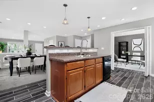 15705 Lakepoint Forest Dr, Charlotte, NC 28278 - Photo 8
